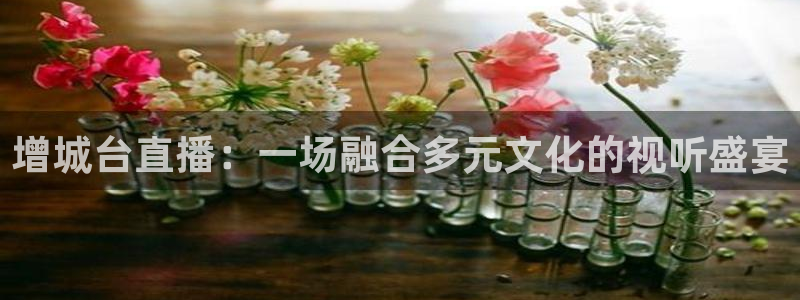 下载松鼠电视直播：增城台直播：一场融合多元文化的视听盛宴