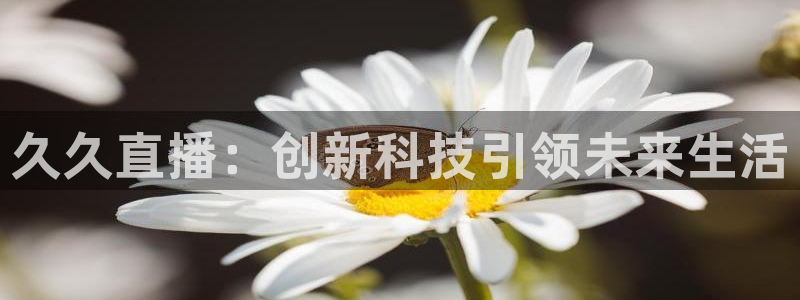 松鼠休闲游戏官网：久久直播：创新科技引领未来生活